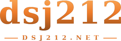 dsj212 logo